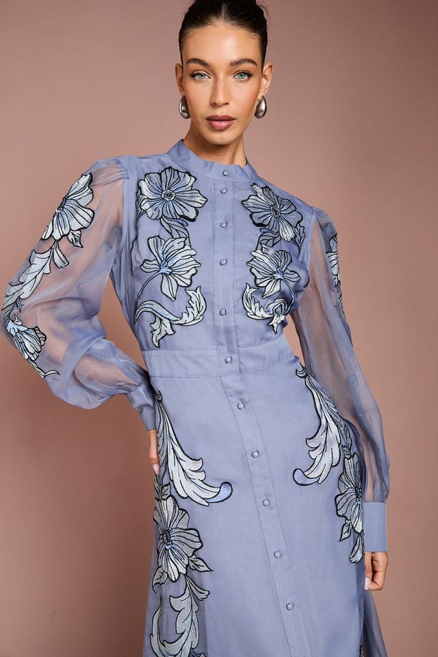 Coast Coast Women's Placement Embroidered Long Sleeve Midi Dress in Blue - 2