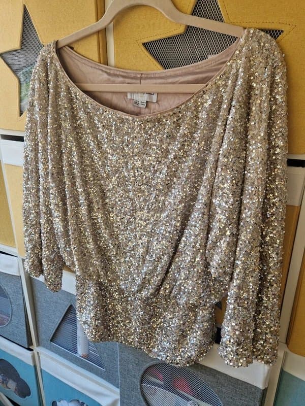 Never Fully Dressed Never fully dressed women's Silver Sequin Tilly Top size 10
