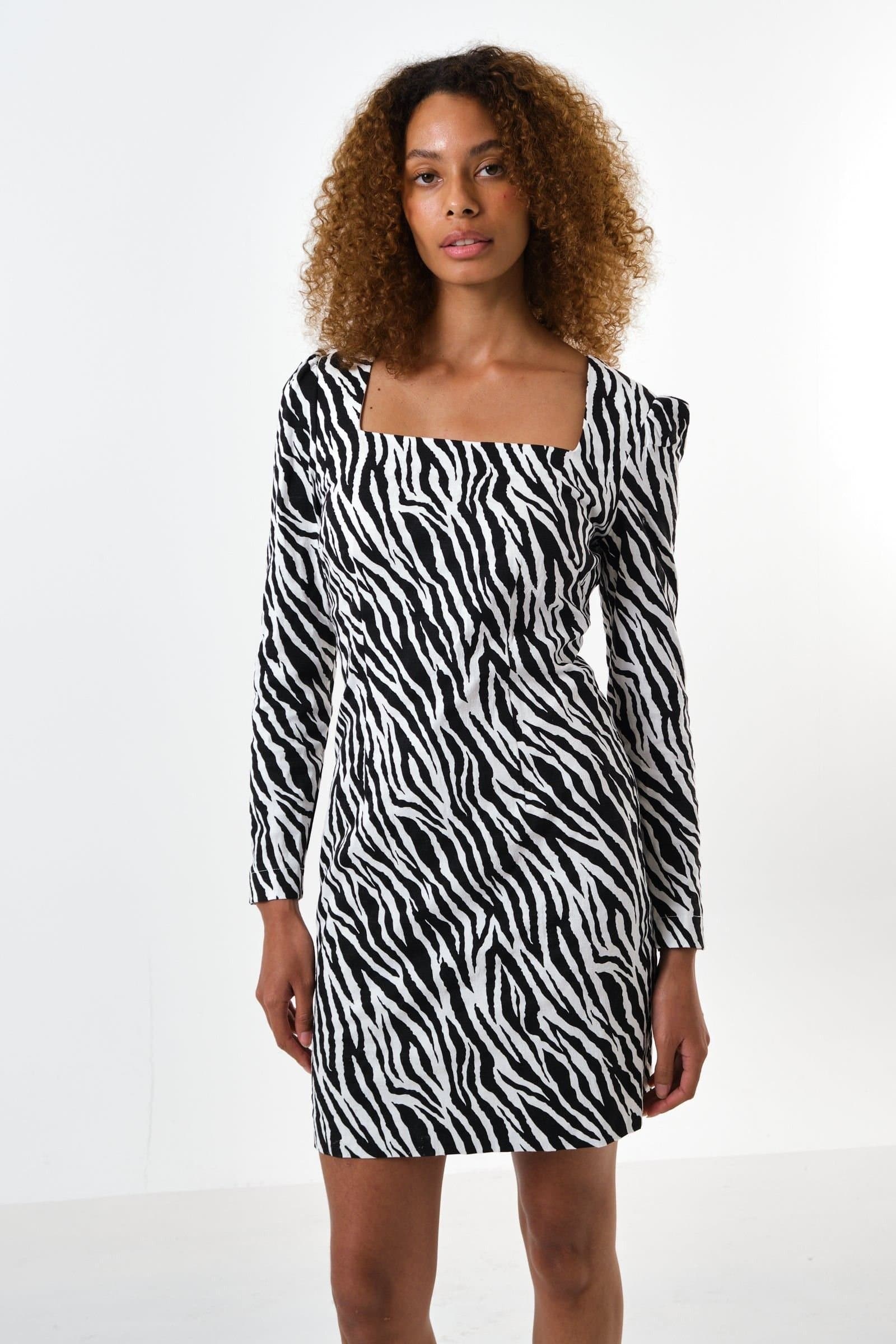 Louche Louche Women's Anala Zebra Print Long Sleeve Mini Dress in Black