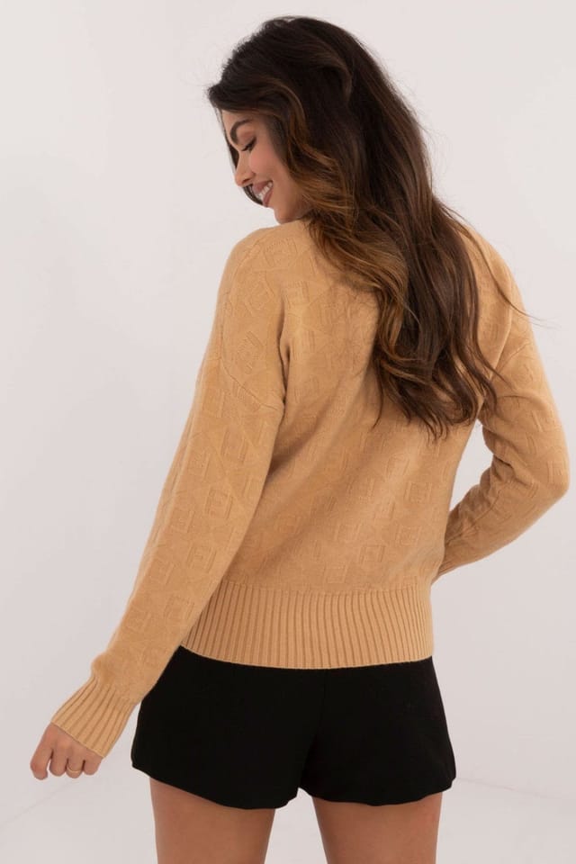 Love Lace Love Lace Women's Textured Acrylic Polyester Turtleneck Sweater in Brown - 3