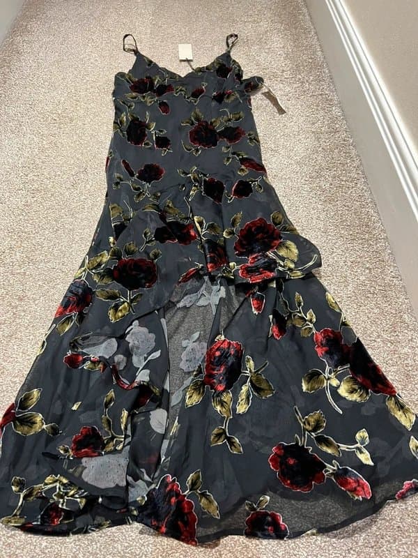Never Fully Dressed Devore velvet roses vixen dress