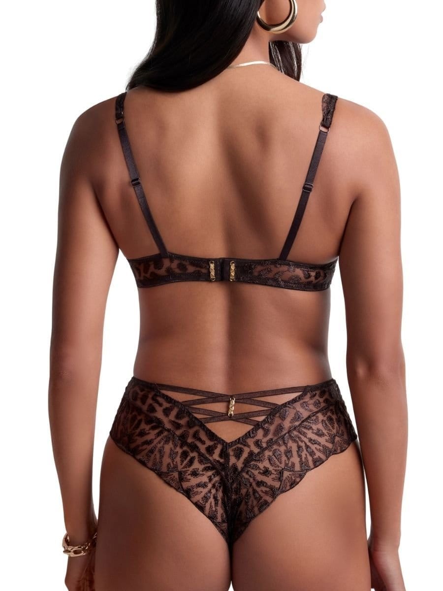 Aubade Aubade Women's Crazy In Love High Waist Brief in Brown - 4
