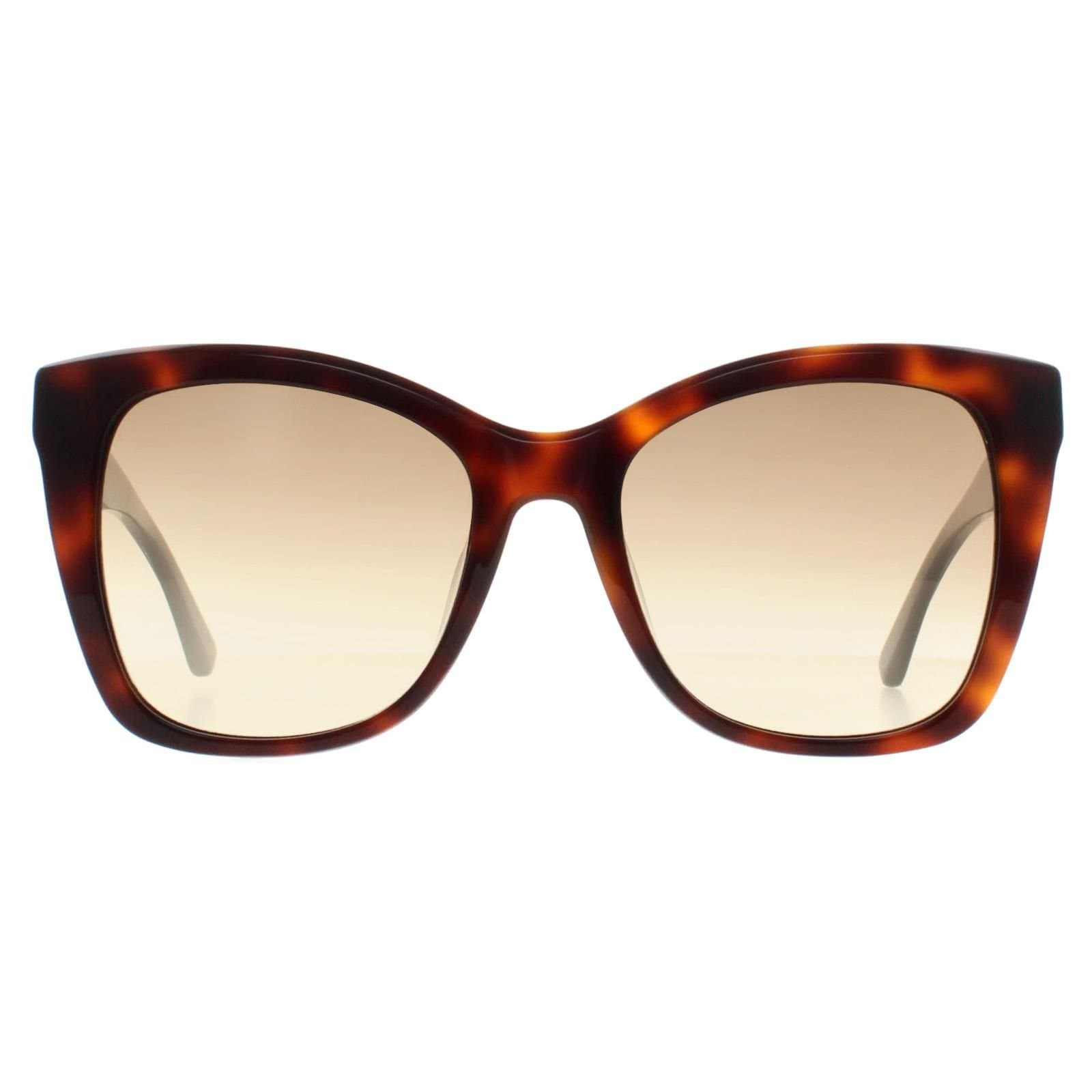 Calvin Klein CALVIN KLEIN Women's Butterfly Brown Havana Brown Gradient CK22530S