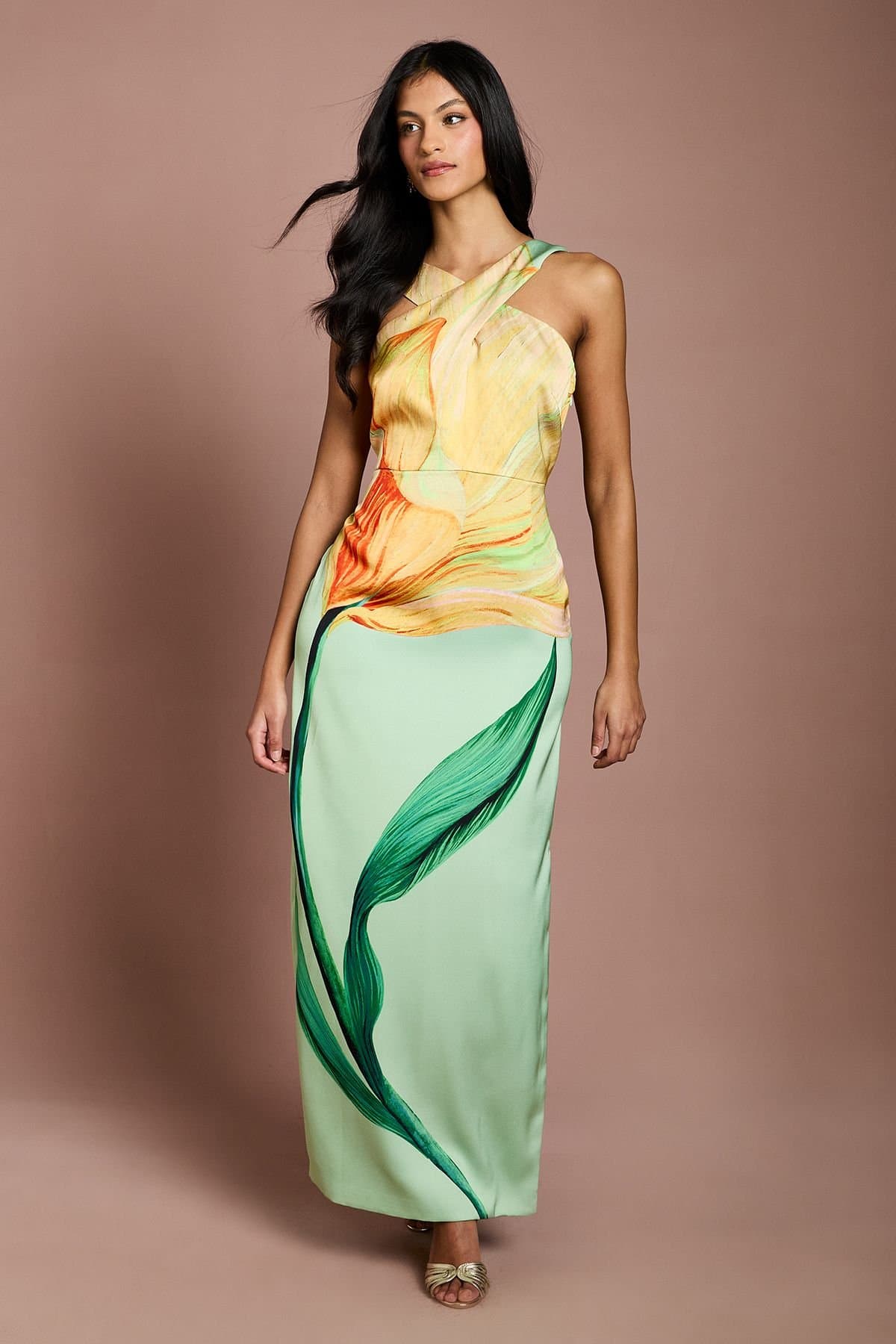 Coast Coast Women's Petite Large Scale Floral Placement Print Halterneck Pencil Dress in Sage