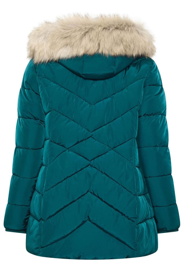Yours Yours Women's Short Padded Coat in Teal - 3