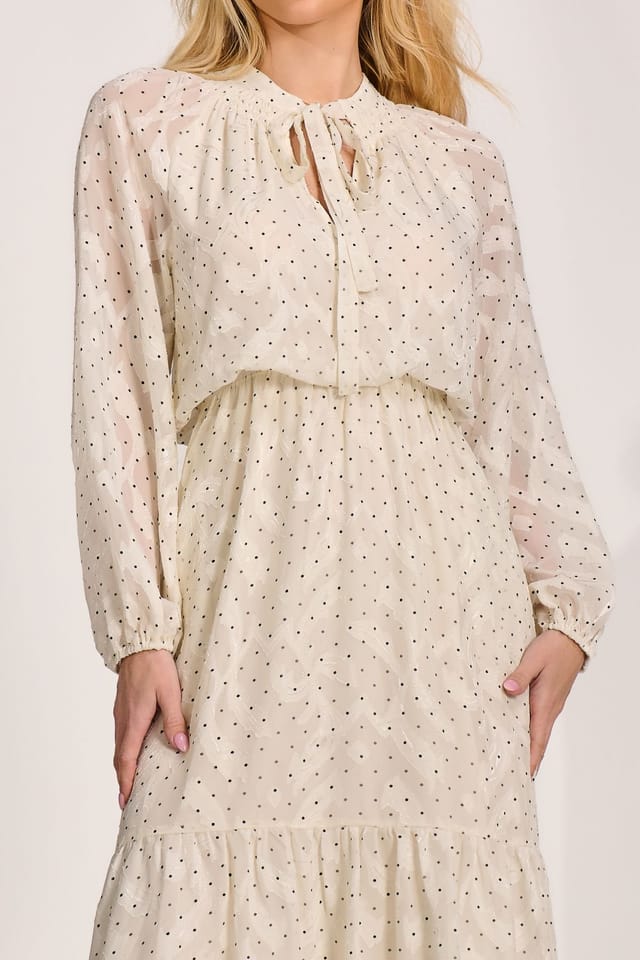 Jolie Moi Jolie Moi Women's Textured Chiffon Long Sleeve Maxi Dress in Cream - 3