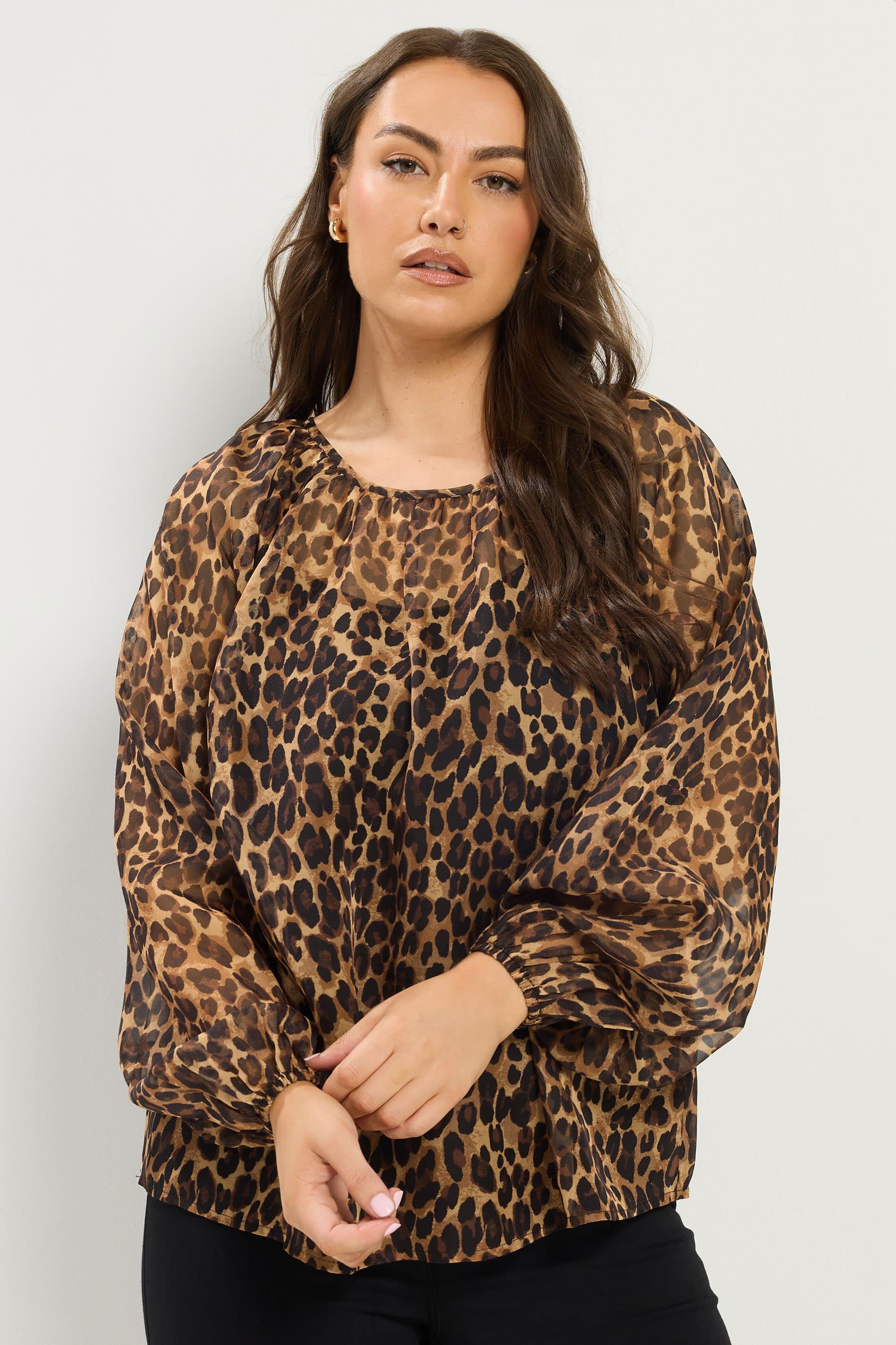 Yours Plus Size Brown Leopard Chiffon Top