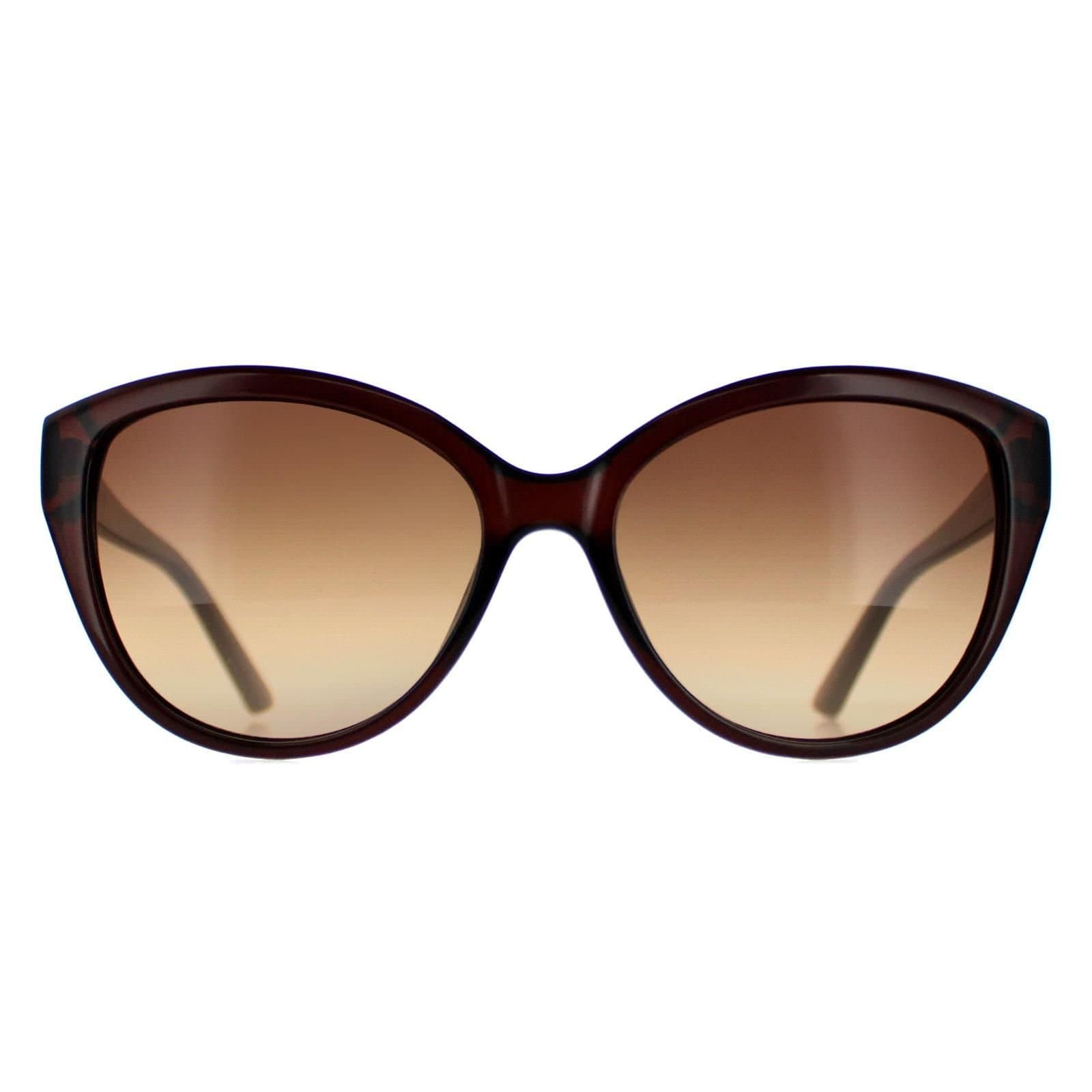 Calvin Klein CALVIN KLEIN Women's Cat Eye Crystal Brown Brown CK19536S