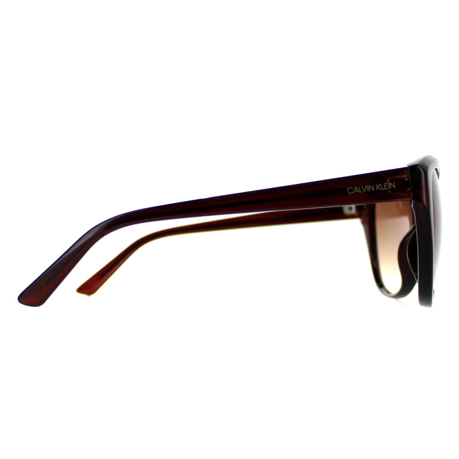 Calvin Klein CALVIN KLEIN Women's Cat Eye Crystal Brown Brown CK19536S - 4