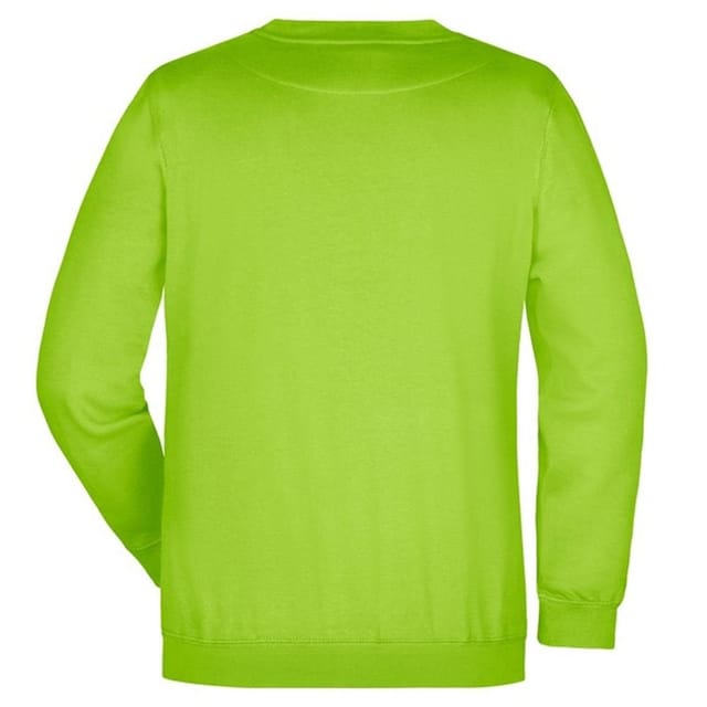 James and Nicholson James and Nicholson Men's Heavy Sweatshirt in Green - 2