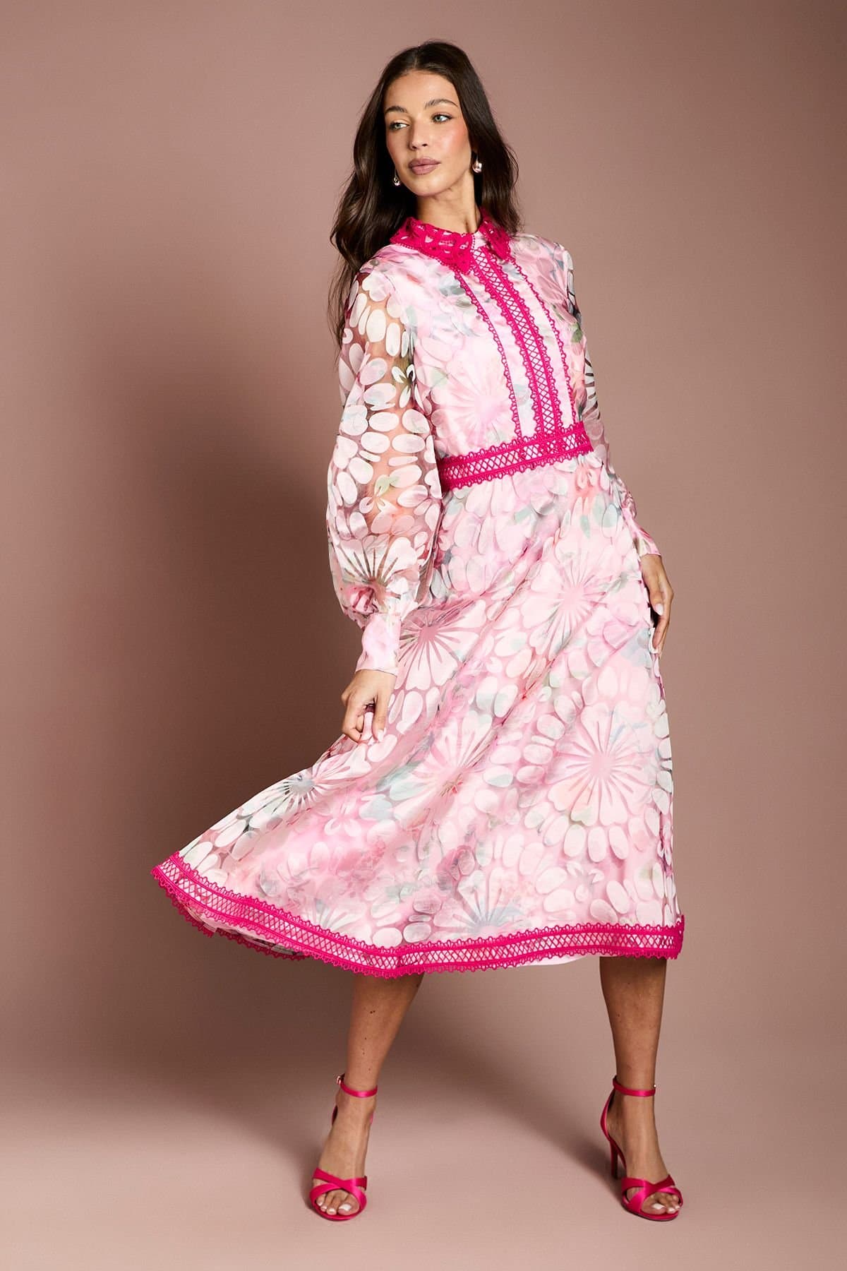 Coast Coast Women's Printed Organza Contrast Collar Lace Trim Midi Dress in Pink