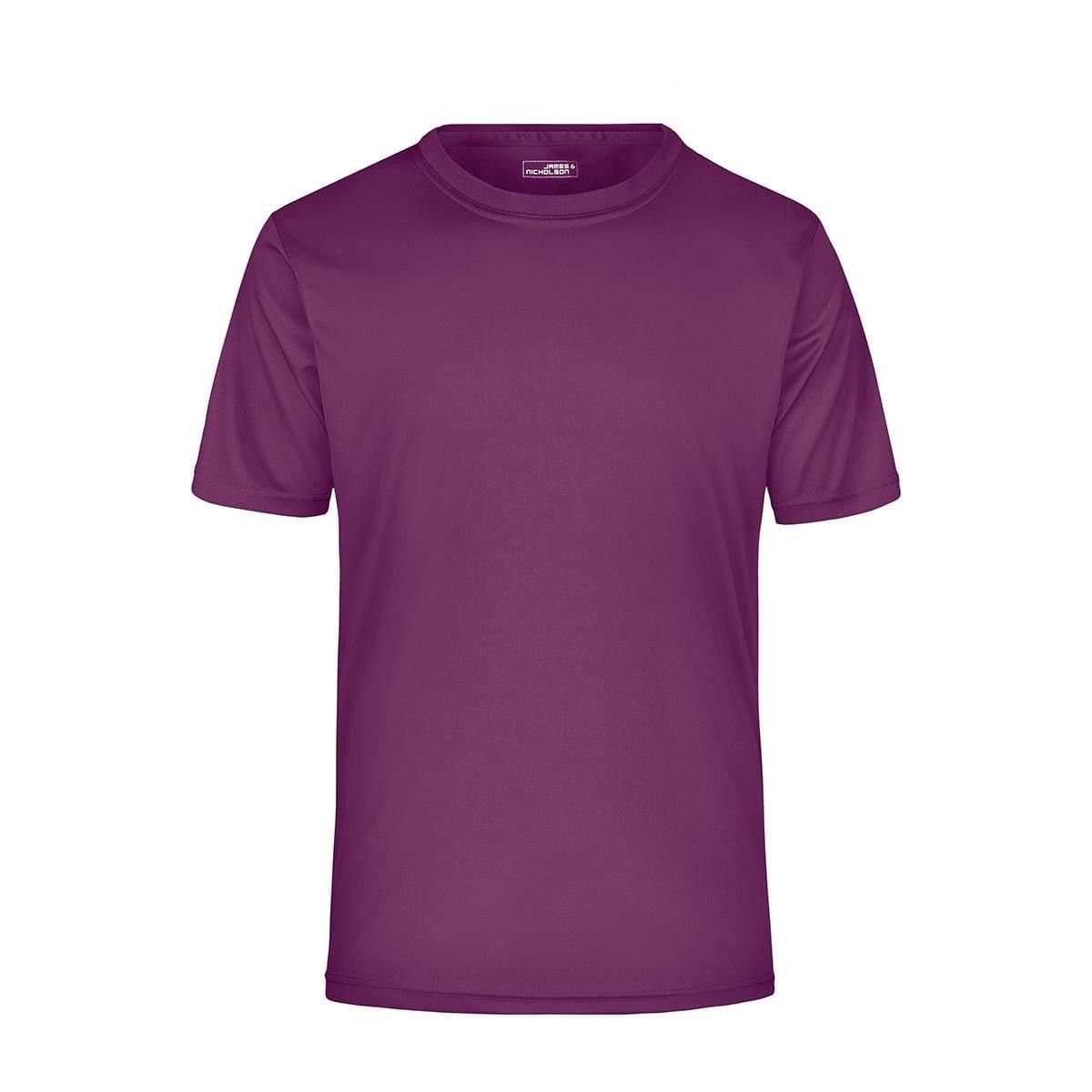 James and Nicholson James and Nicholson Men's Active T-Shirt in Purple