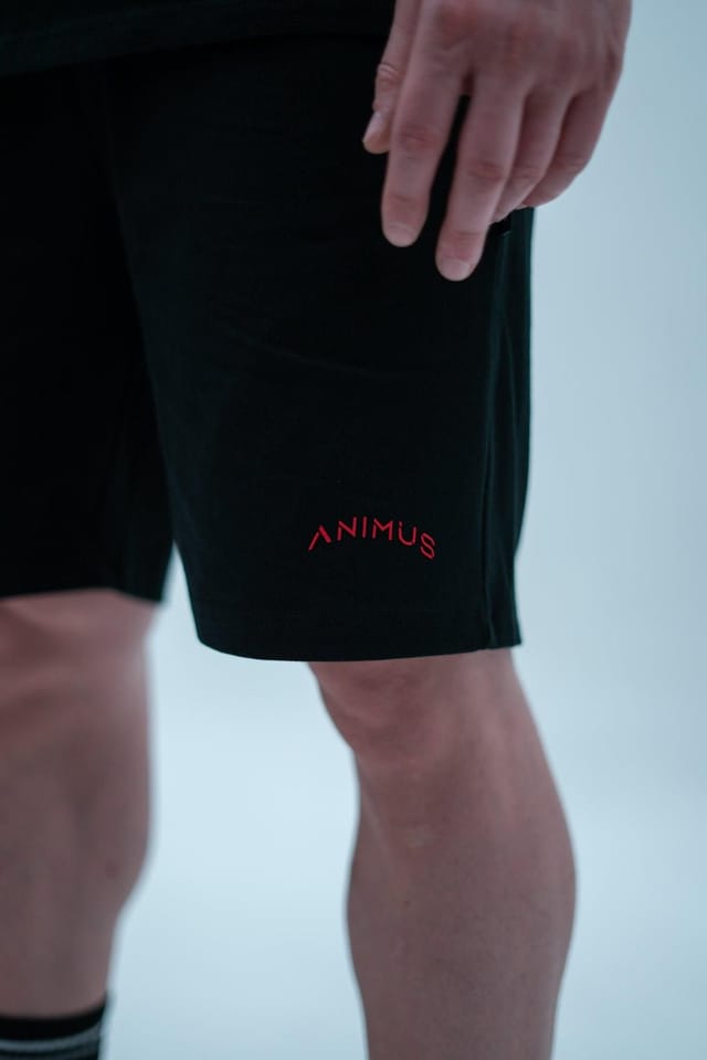 Animus Animus Men's Momentum Zeus Shorts in Black - 2