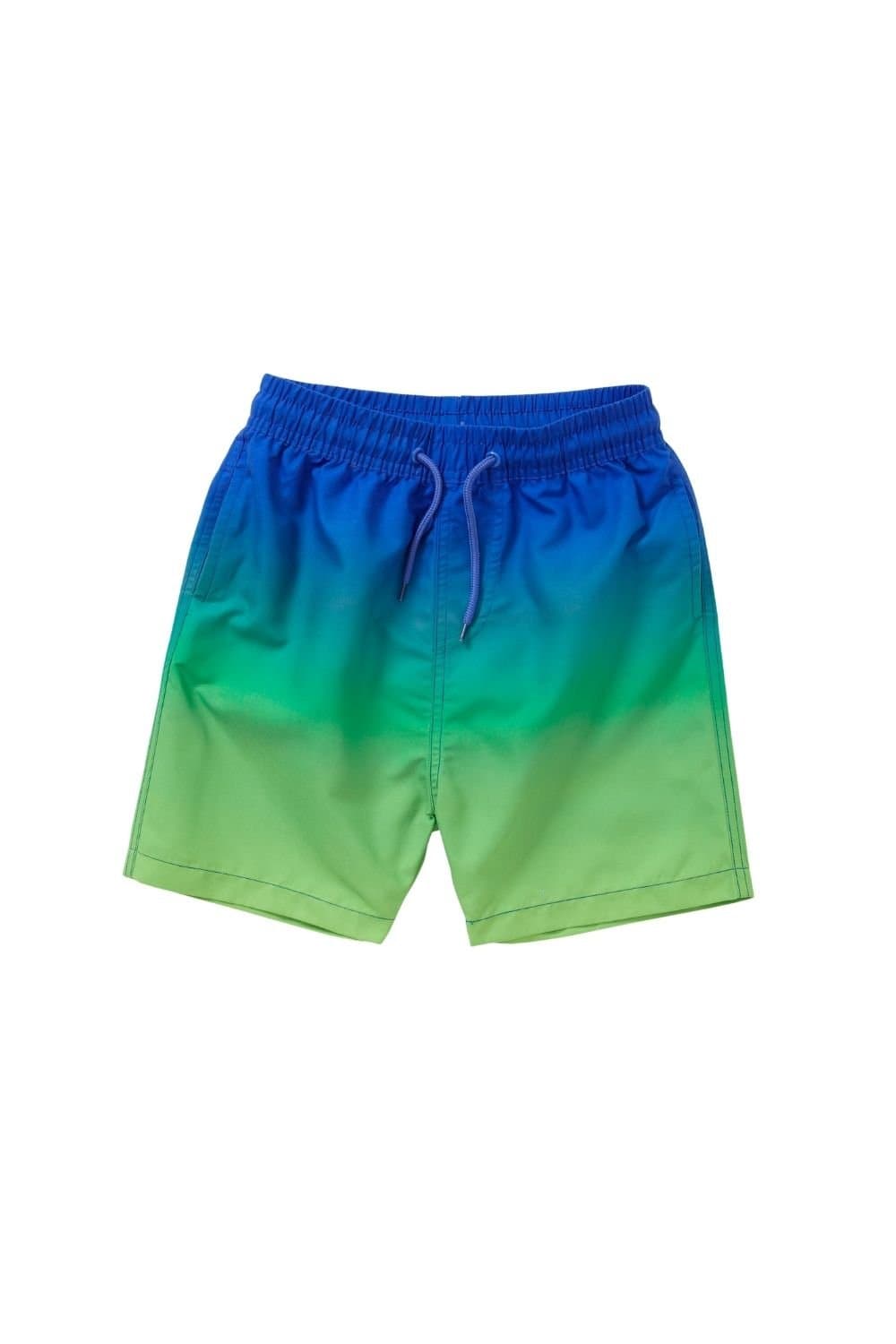 H2O H2O Men's Ombre Swim Board Shorts