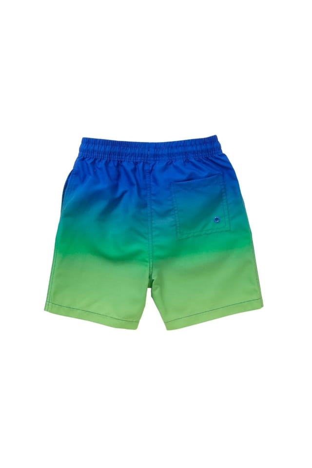 H2O H2O Men's Ombre Swim Board Shorts - 2