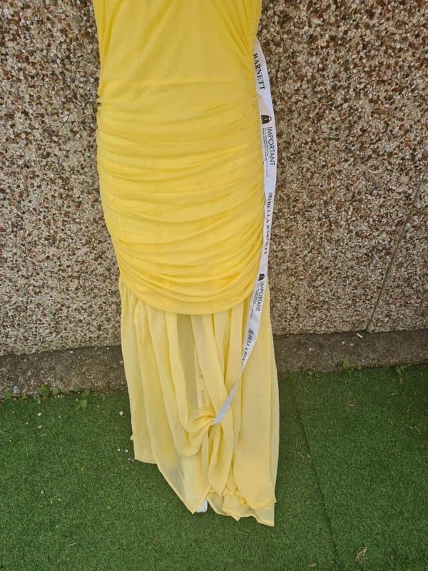 Bella Barnett Bella Barnett Ulasa Sleeveless Ruched Mesh Maxi Dress | Size L (UK 14–16) | BNWT | Sold out