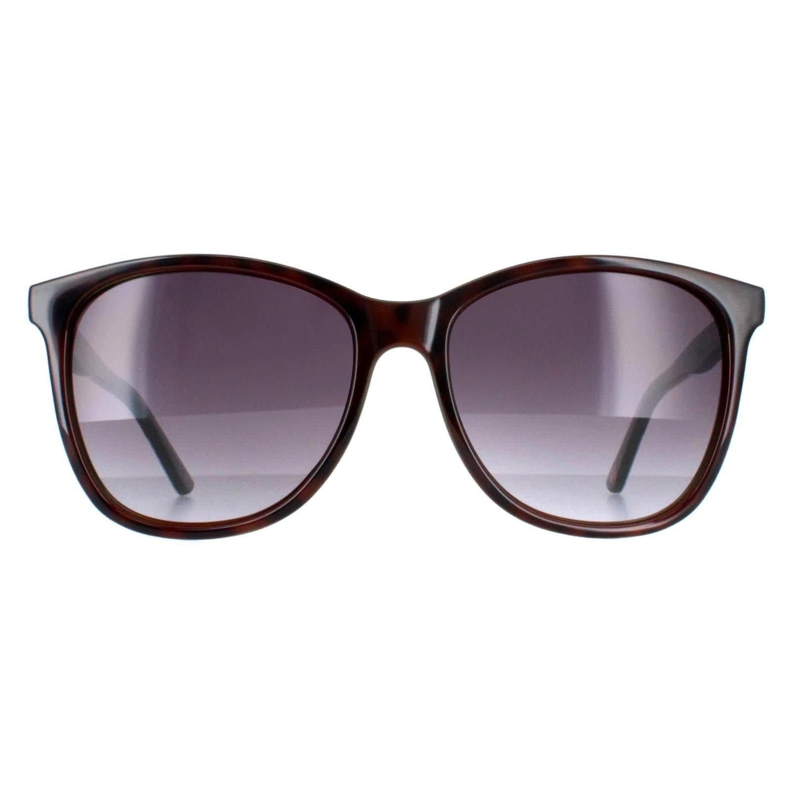 Ted Baker Ted Baker Women's Oval Tortoiseshell Grey Gradient TB1496 Alva in Brown