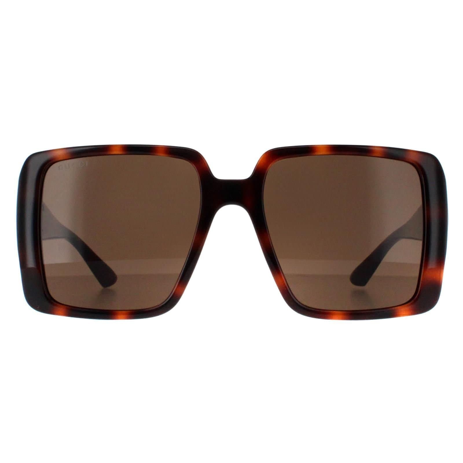 Gucci Gucci Women's Square Dark Havana with Gold Dark Brown GG1692S