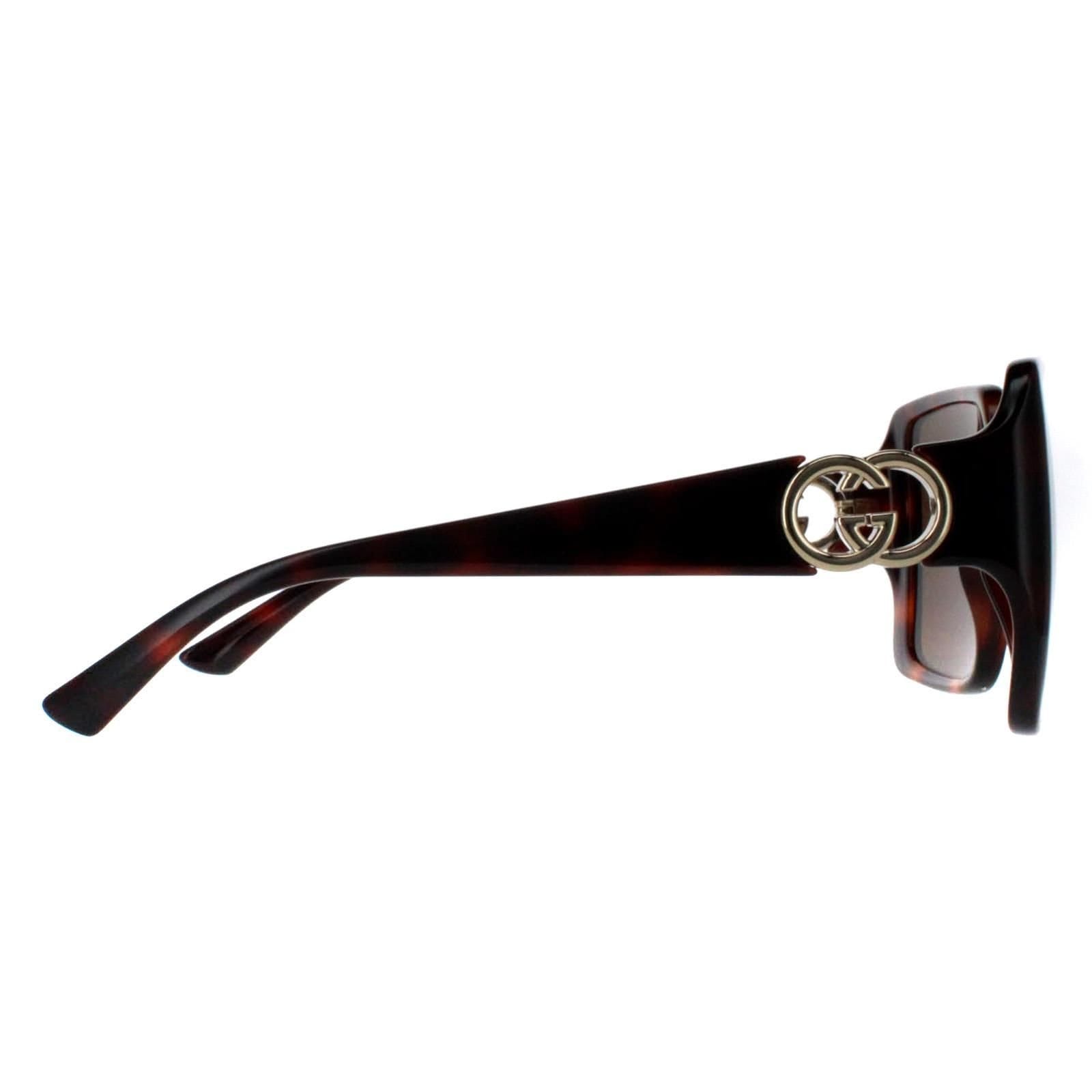 Gucci Gucci Women's Square Dark Havana with Gold Dark Brown GG1692S - 4