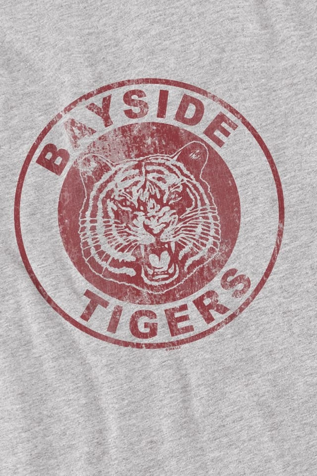 NBCU NBCU Men's Saved By The Bell Bayside Tigers T-Shirt, Grey - 3