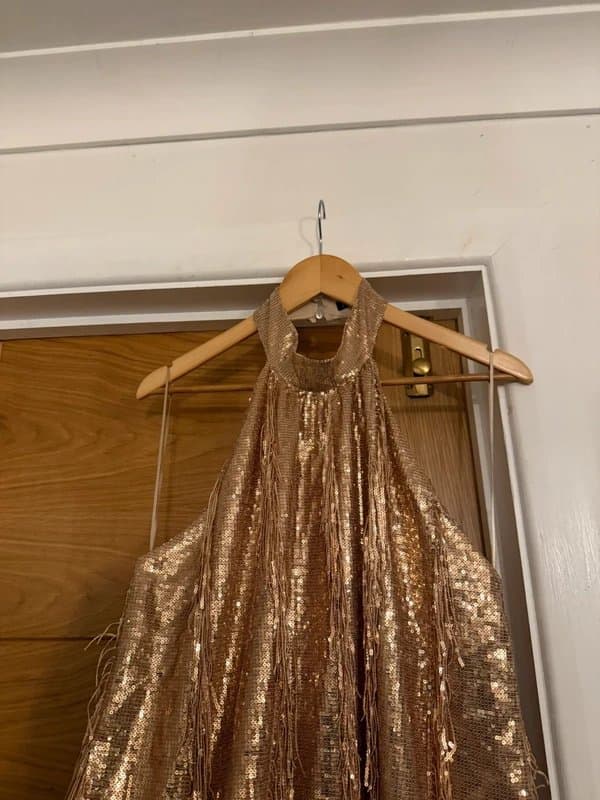 Zara Zara Gold Sequin Embellished Tassel Fringe Halter Neck Low Back Party Mini Dress