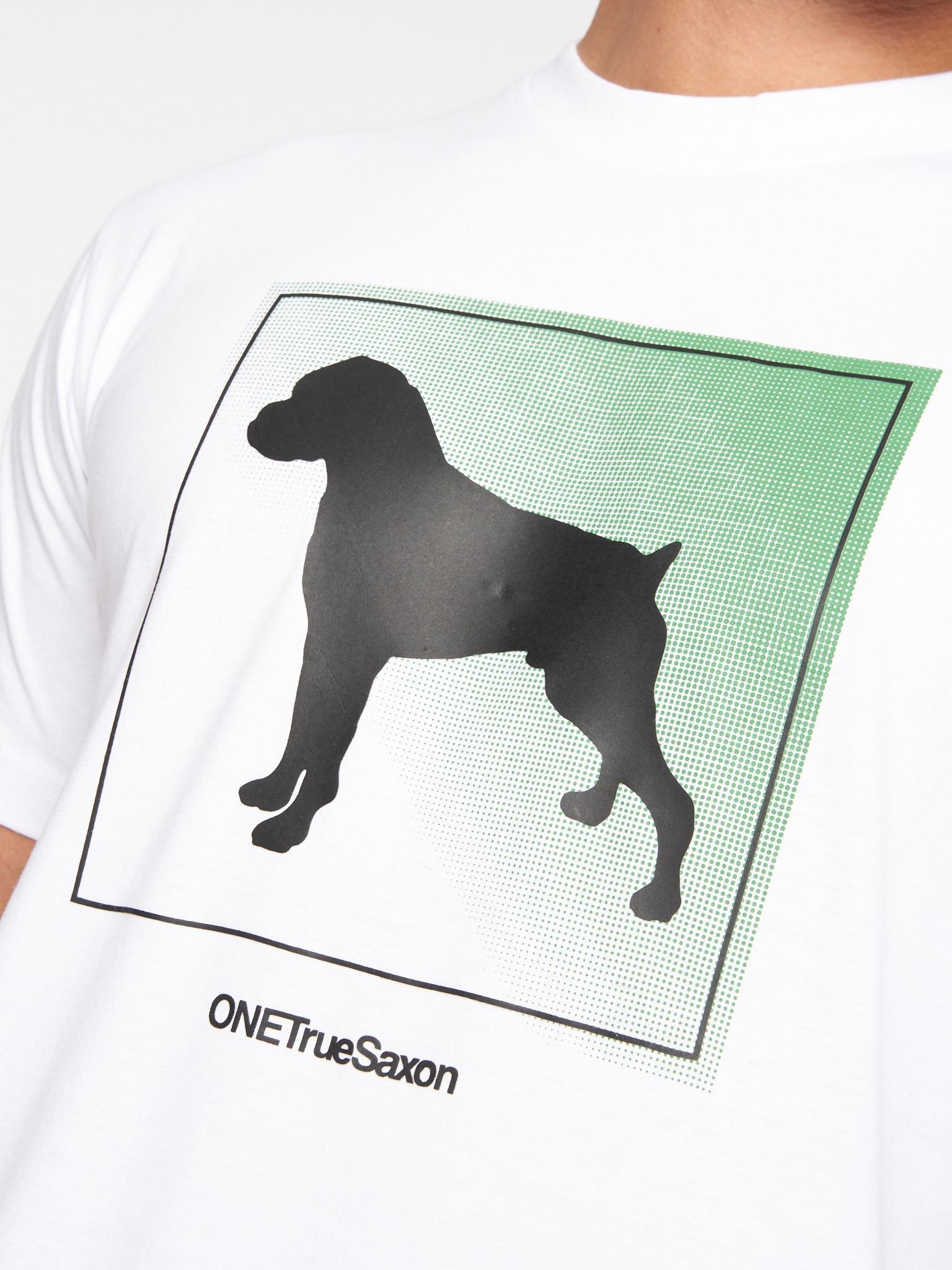 One True Saxon One True Saxon Men's Braice T-Shirt in White - 2