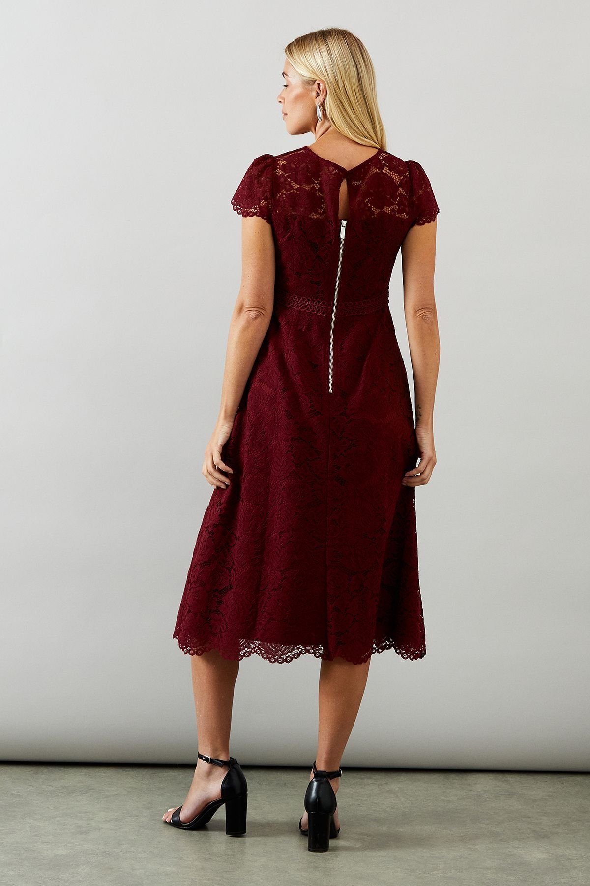 Wallis Wallis Women's Petite Lace Fit & Flare Dress in Wine - 3