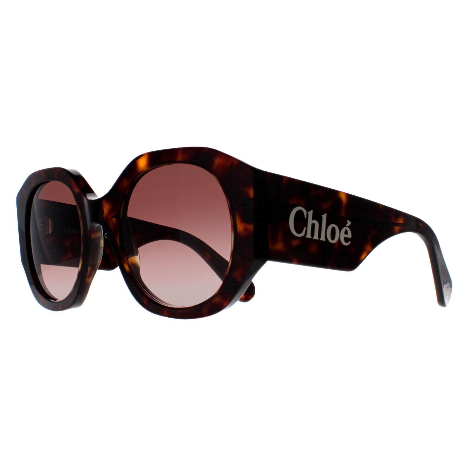 Chloé Chloé Women's Round Dark Havana Brown Gradient CH0234S - 2