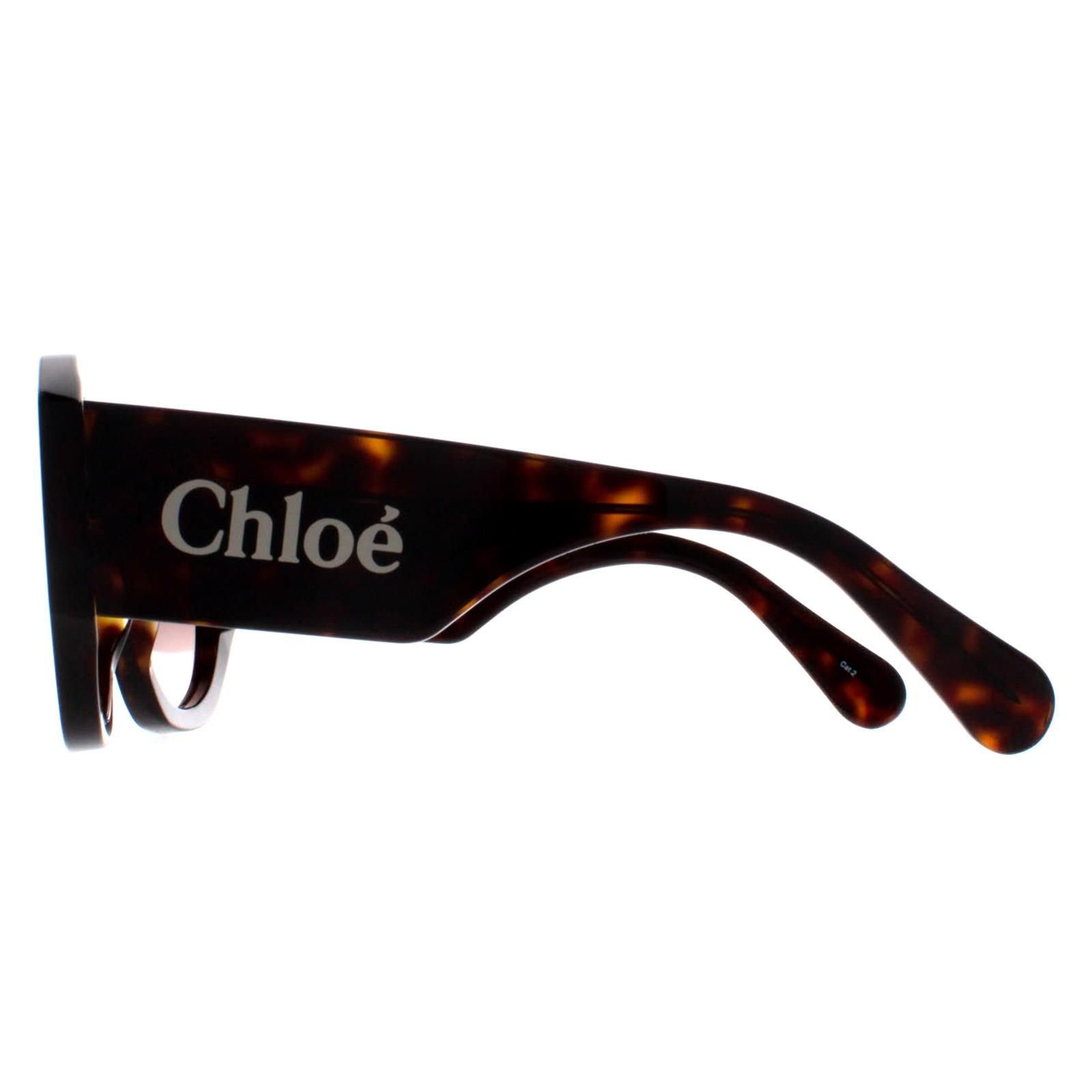 Chloé Chloé Women's Round Dark Havana Brown Gradient CH0234S - 3