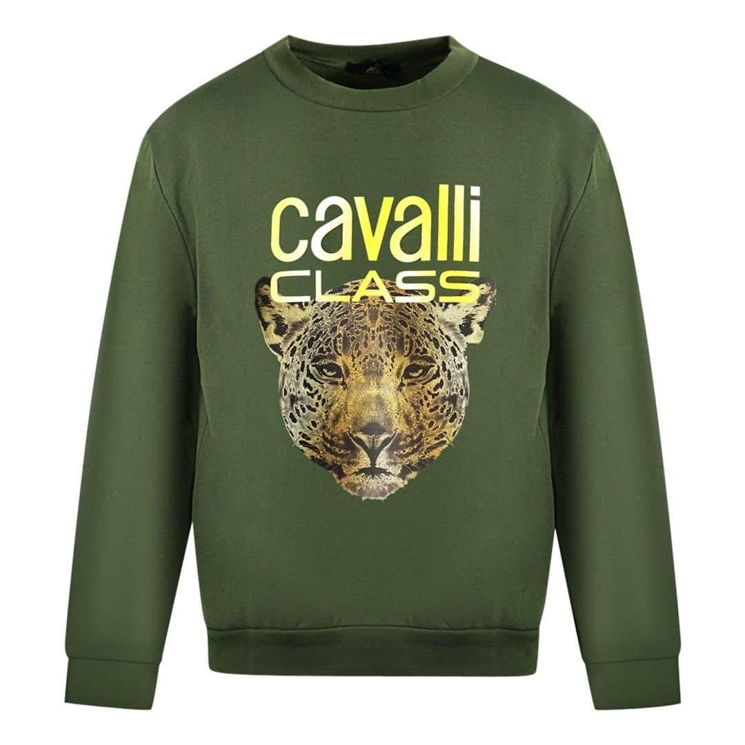 Roberto Cavalli Roberto Cavalli Men's Leopard Print Logo Olive Jumper in Green