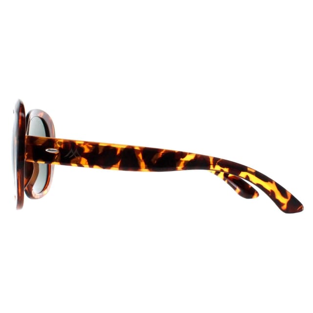 montana montana Women's Butterfly Shiny Turtle G15 Polarized MP63 in Brown - 3
