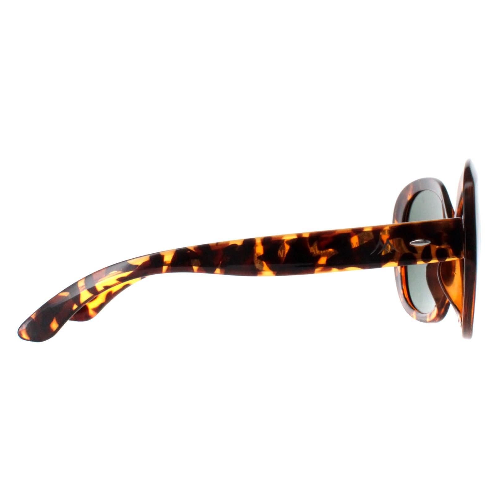 montana montana Women's Butterfly Shiny Turtle G15 Polarized MP63 in Brown - 4