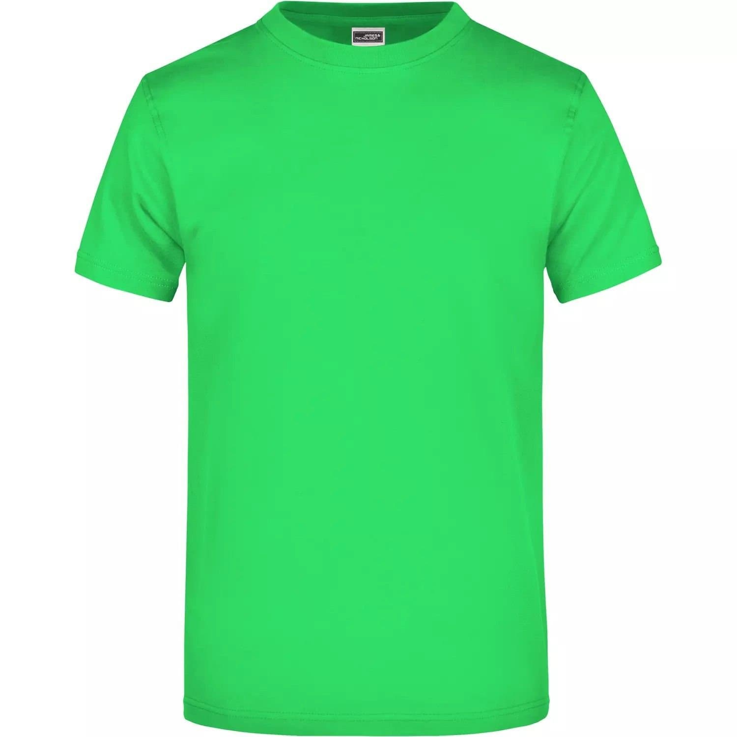 James and Nicholson James and Nicholson Men's Heavyweight Crew Neck T-Shirt in Green