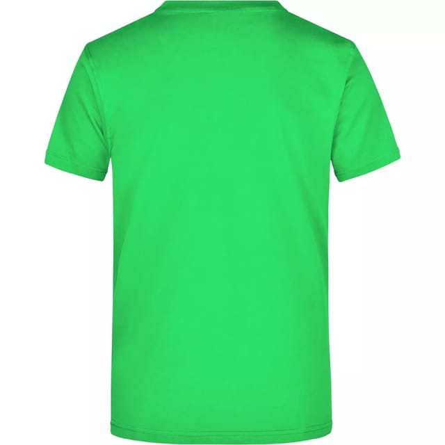 James and Nicholson James and Nicholson Men's Heavyweight Crew Neck T-Shirt in Green - 2