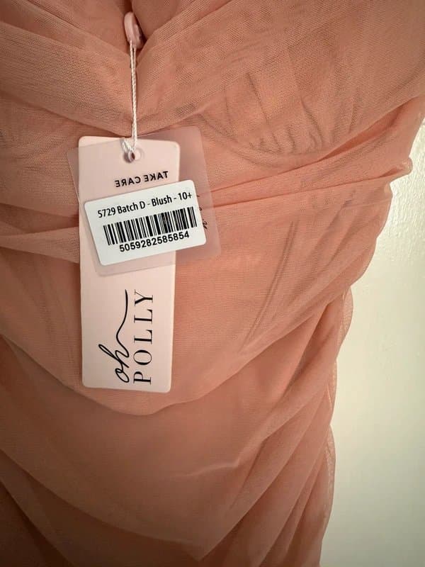 Oh Polly Ruched Corset Mini Dress in Blush 10 / D-F