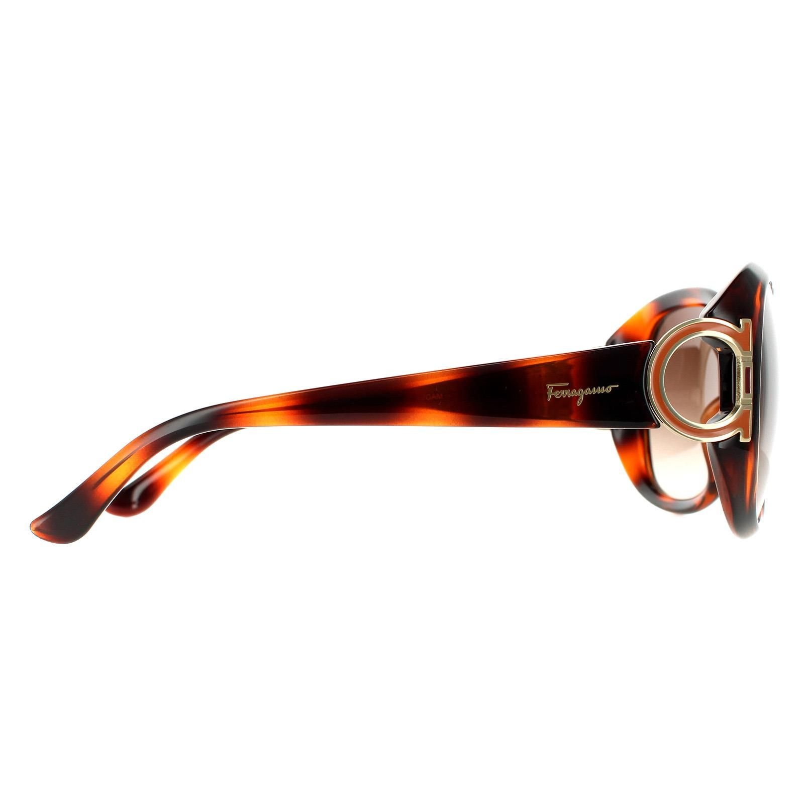 Salvatore Ferragamo Salvatore Ferragamo Women's Oval Tortoise Brown Gradient Sunglasses - 4