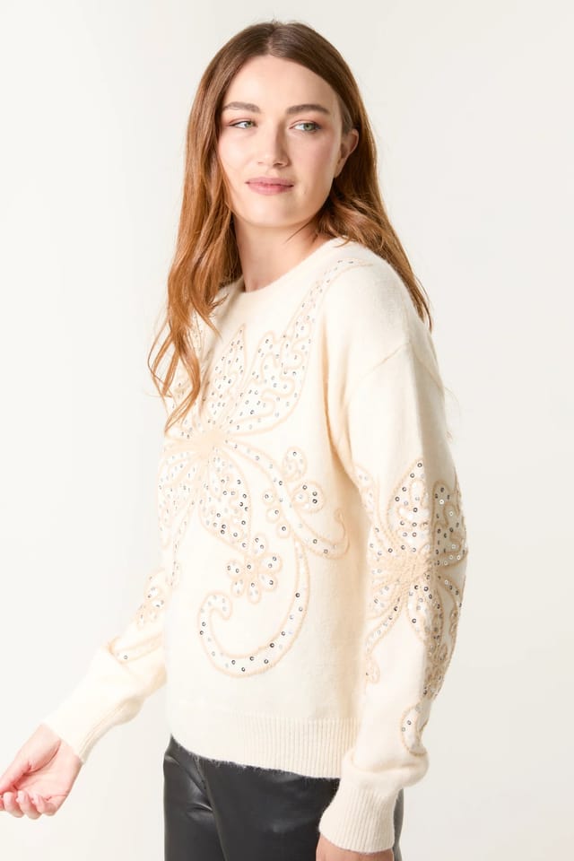 Blue Vanilla Butterfly Embroidered Jumper - 2