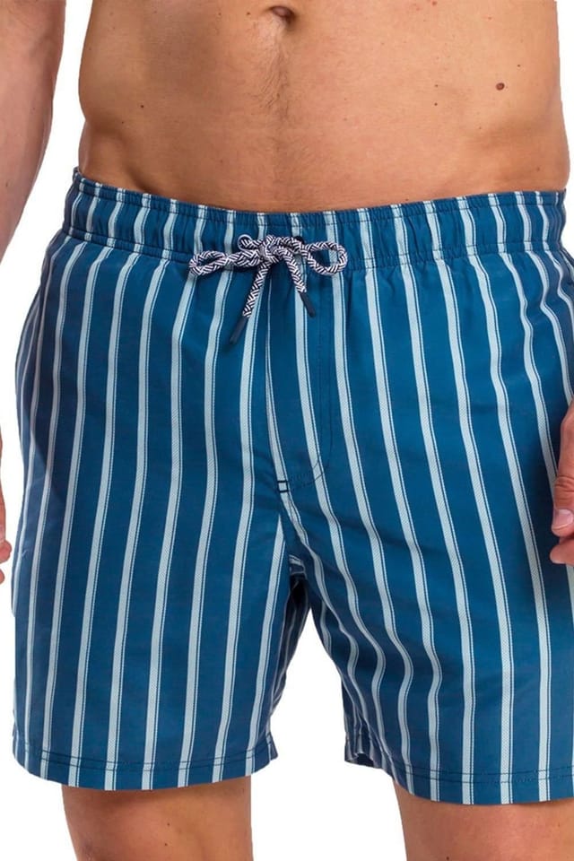 RIPT Essentials RIPT Essentials Men's Stripe Print Swim Shorts in Navy - 2