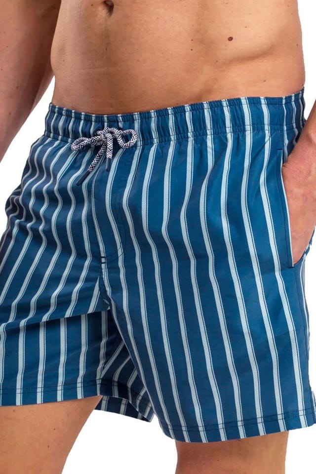 RIPT Essentials RIPT Essentials Men's Stripe Print Swim Shorts in Navy - 3