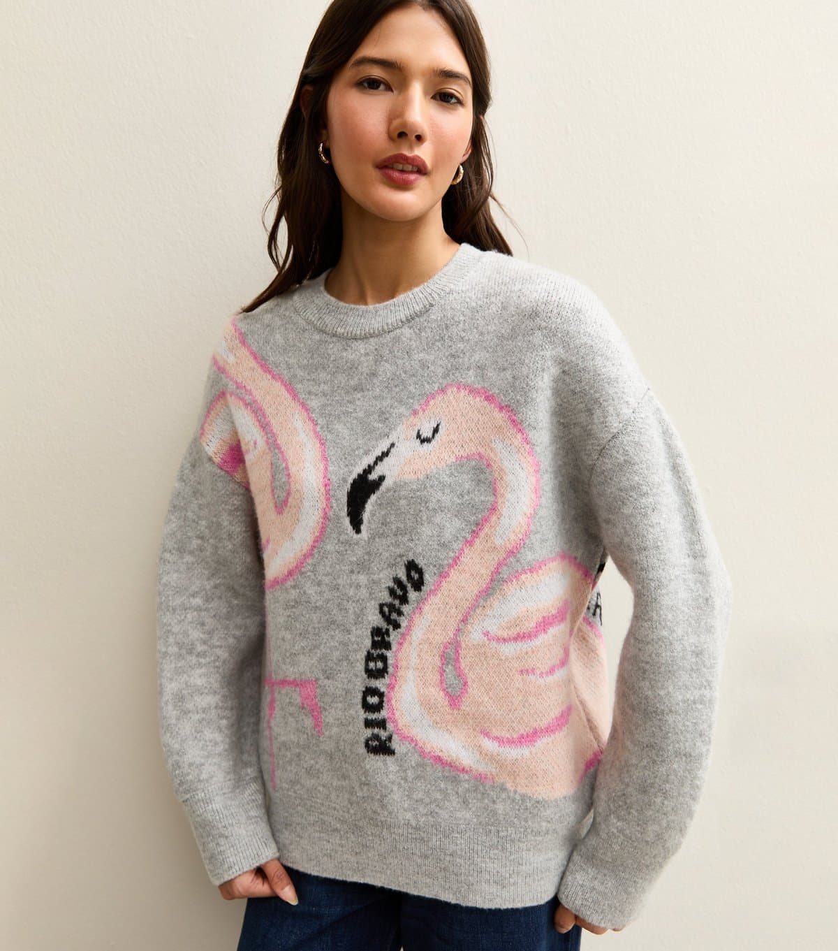 New Look New Look Light Grey Flamingo Slogan Midweight Knit Jumper