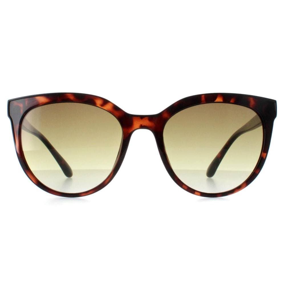 Calvin Klein CALVIN KLEIN Women's Cat Eye Shiny Havana Brown Gradient CK22552S
