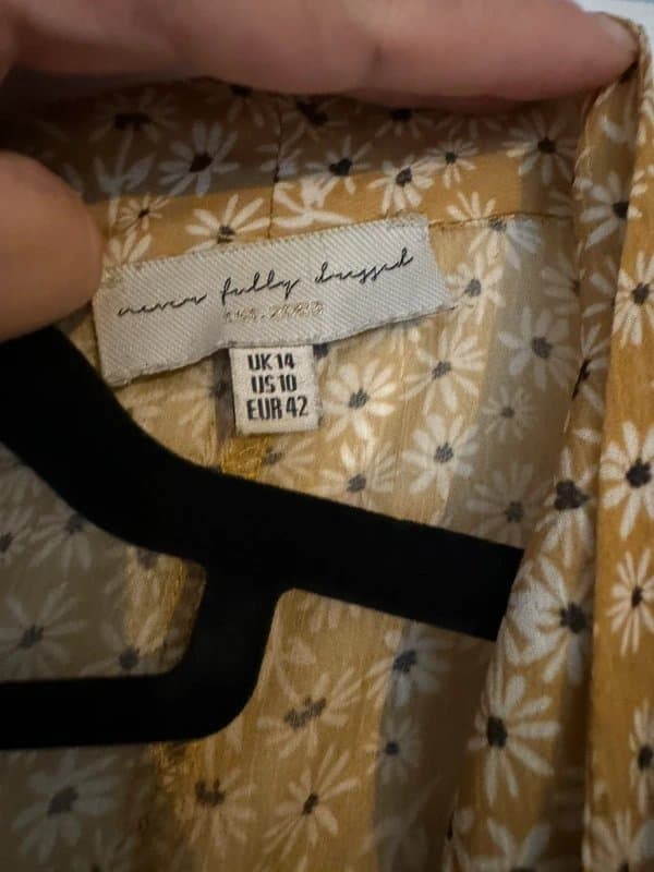 Never Fully Dressed Never Fully Dressed - Sheer Dress