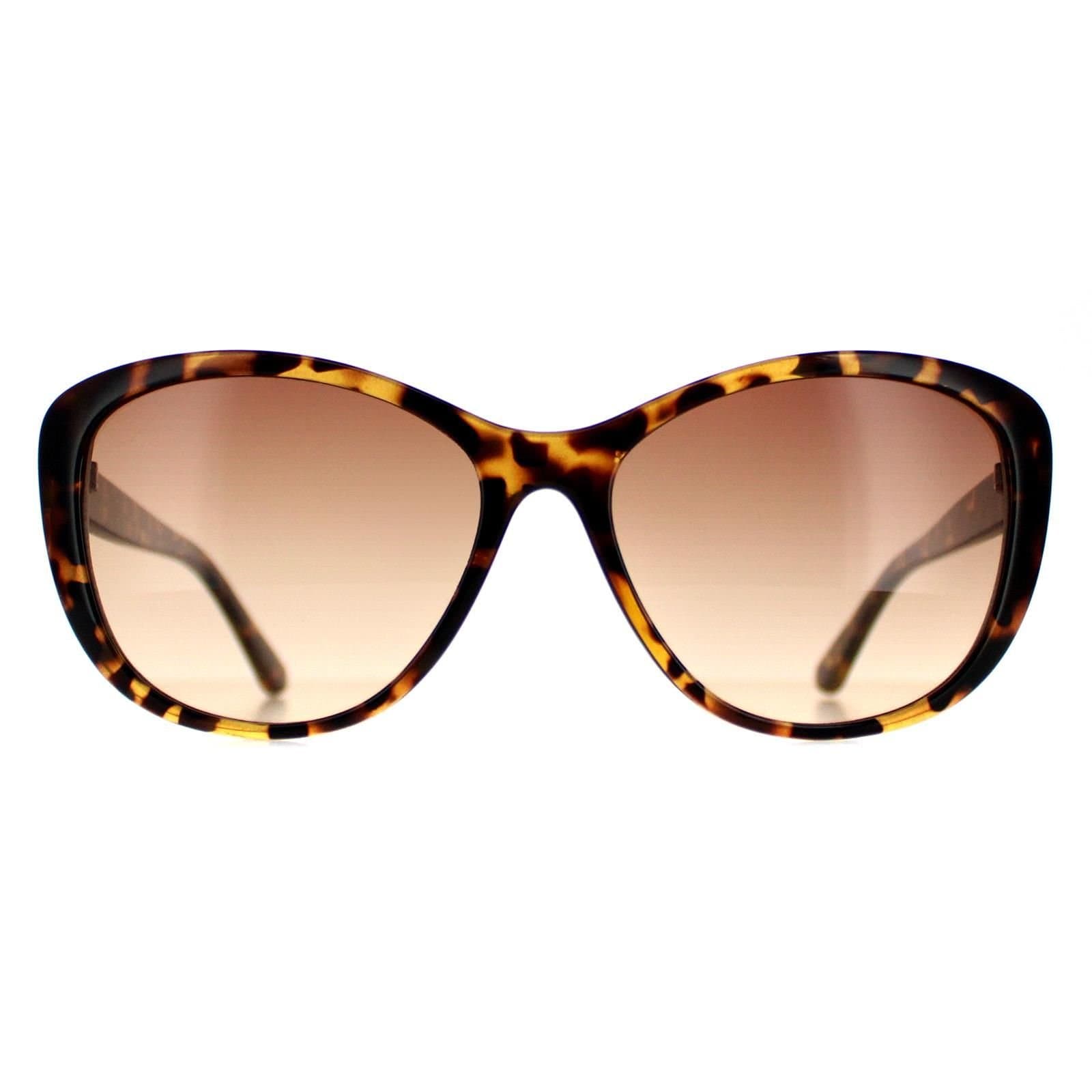 Calvin Klein CALVIN KLEIN Women's Cat Eye Tortoise Brown Gradient CK19560S