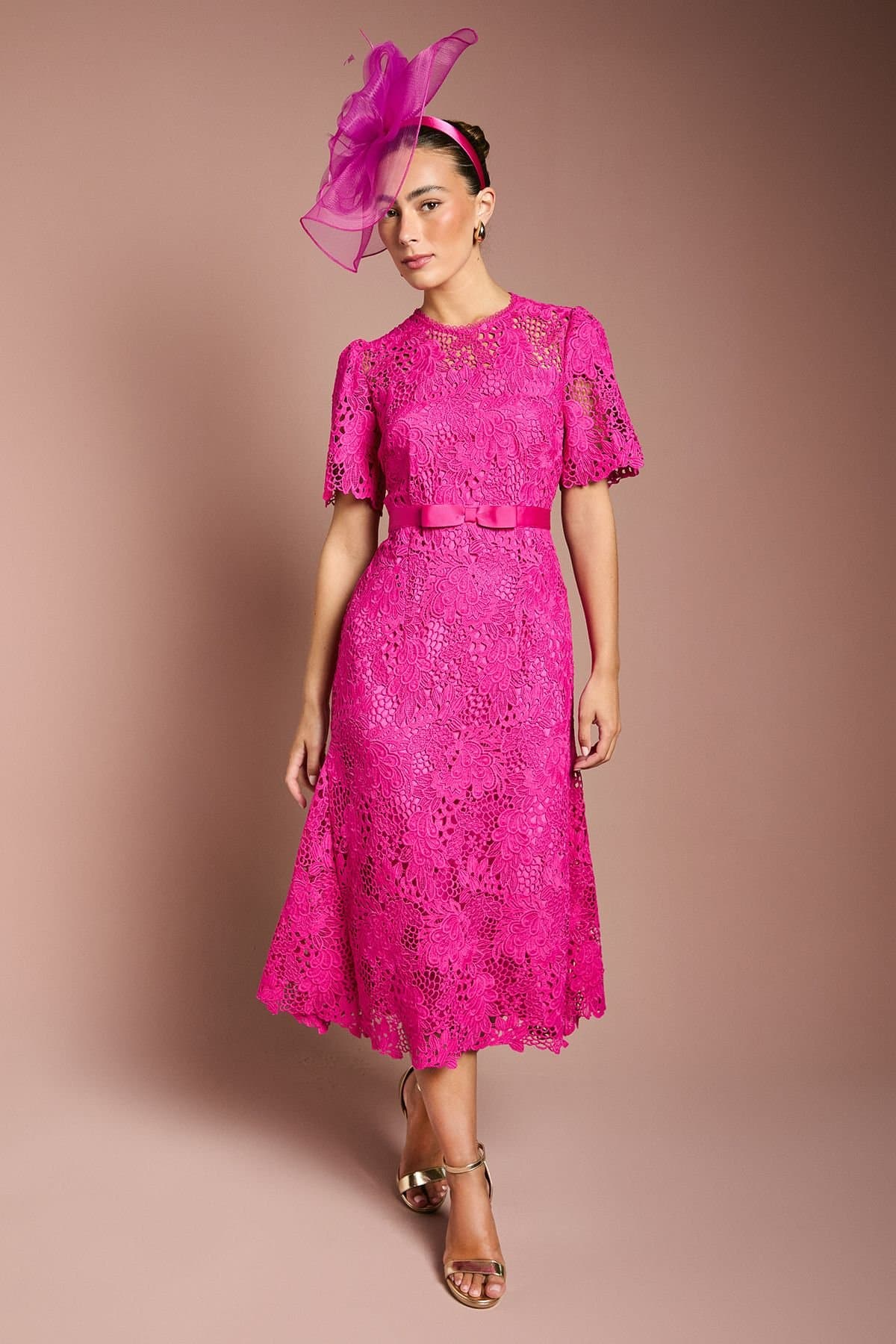 Coast Coast Women's Lace Midi Dress With Bow Belt in Berry