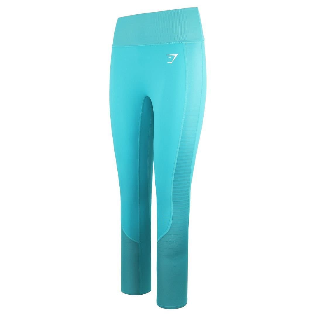 Gymshark Gymshark Women's Apex Teal Leggings