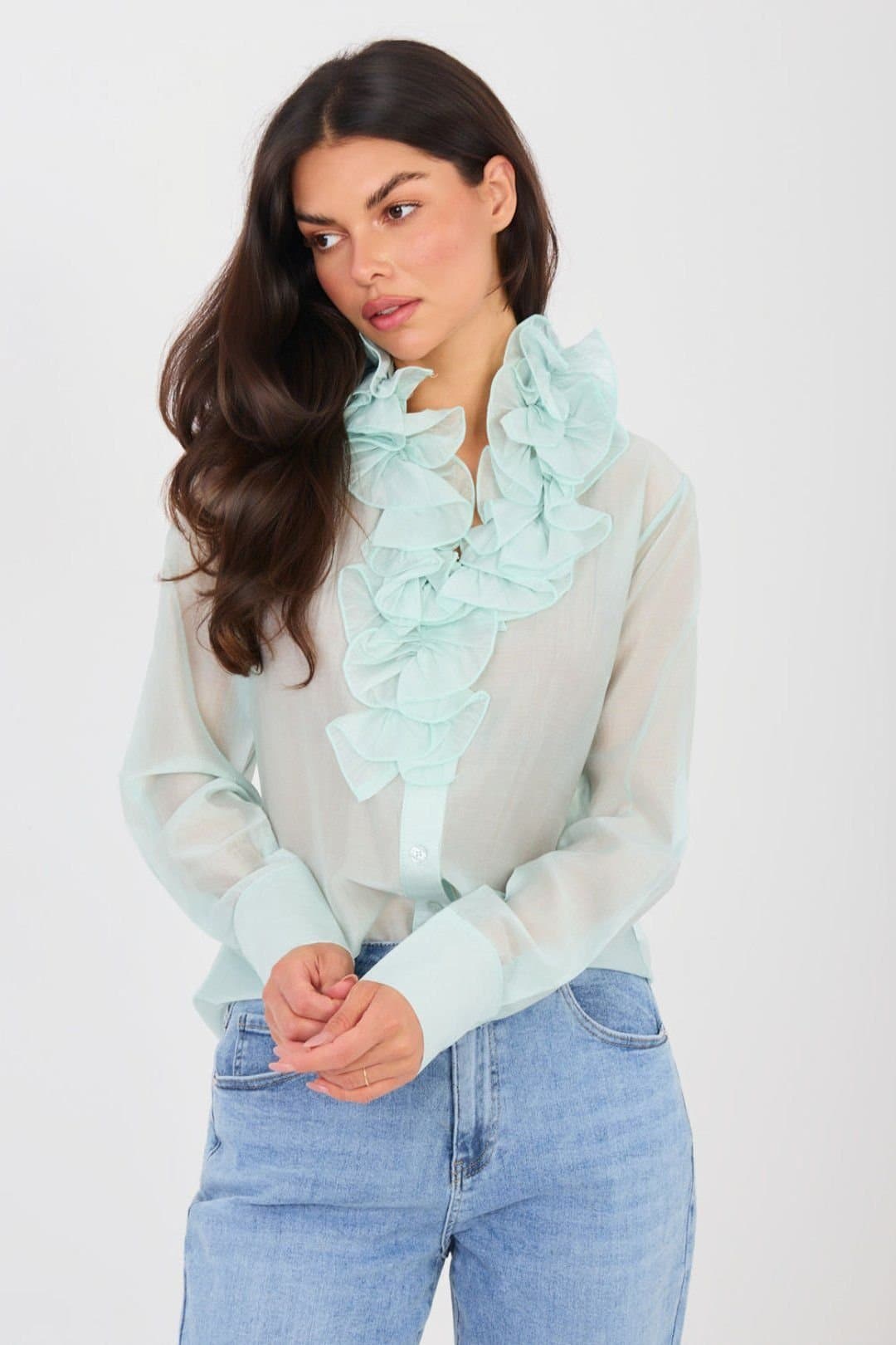 Love Lace Love Lace Women's Sheer Jabot Stand Collar Long Sleeve Shirt in Green
