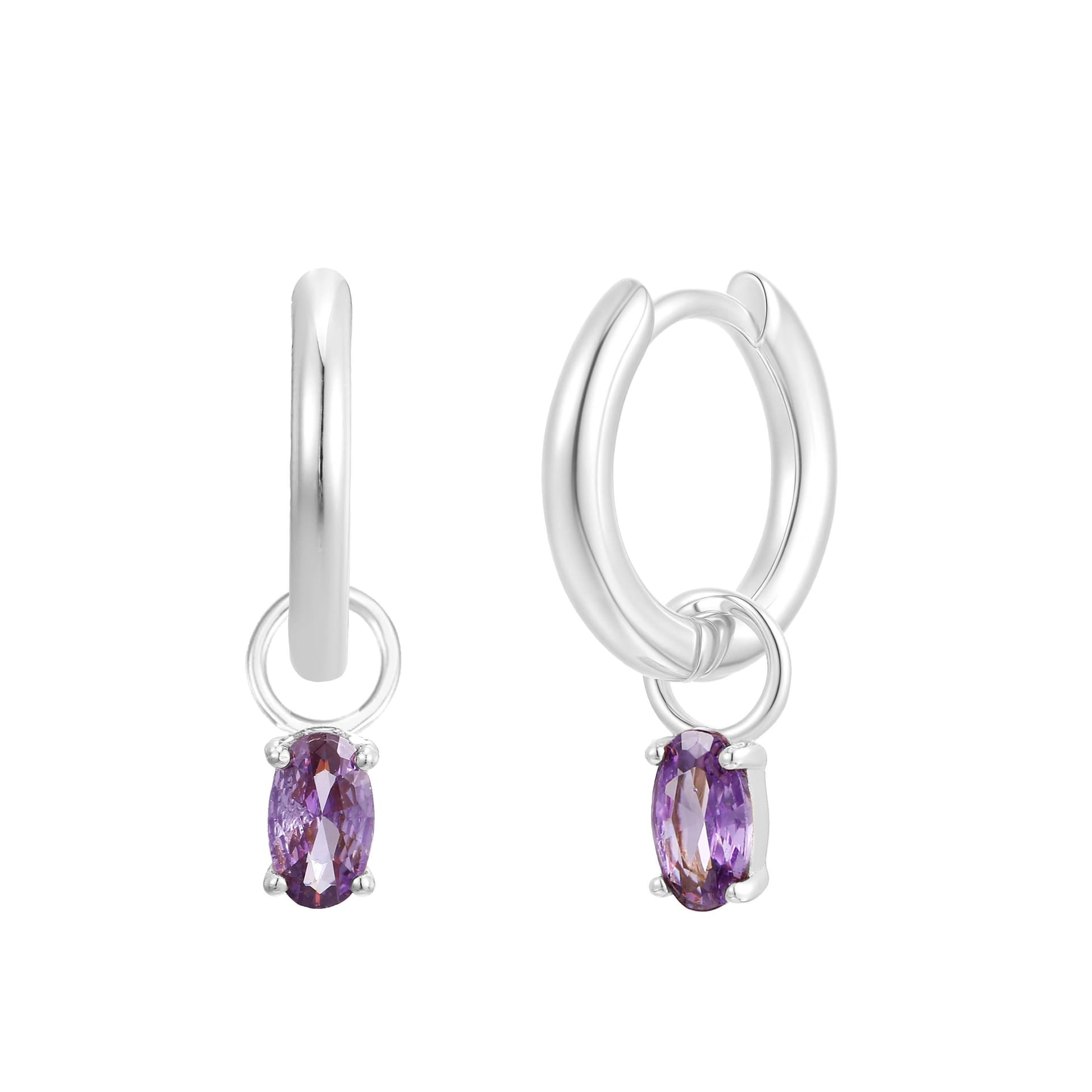 Gold Trip Gold Trip Silver February Birthstone Charm Earrings