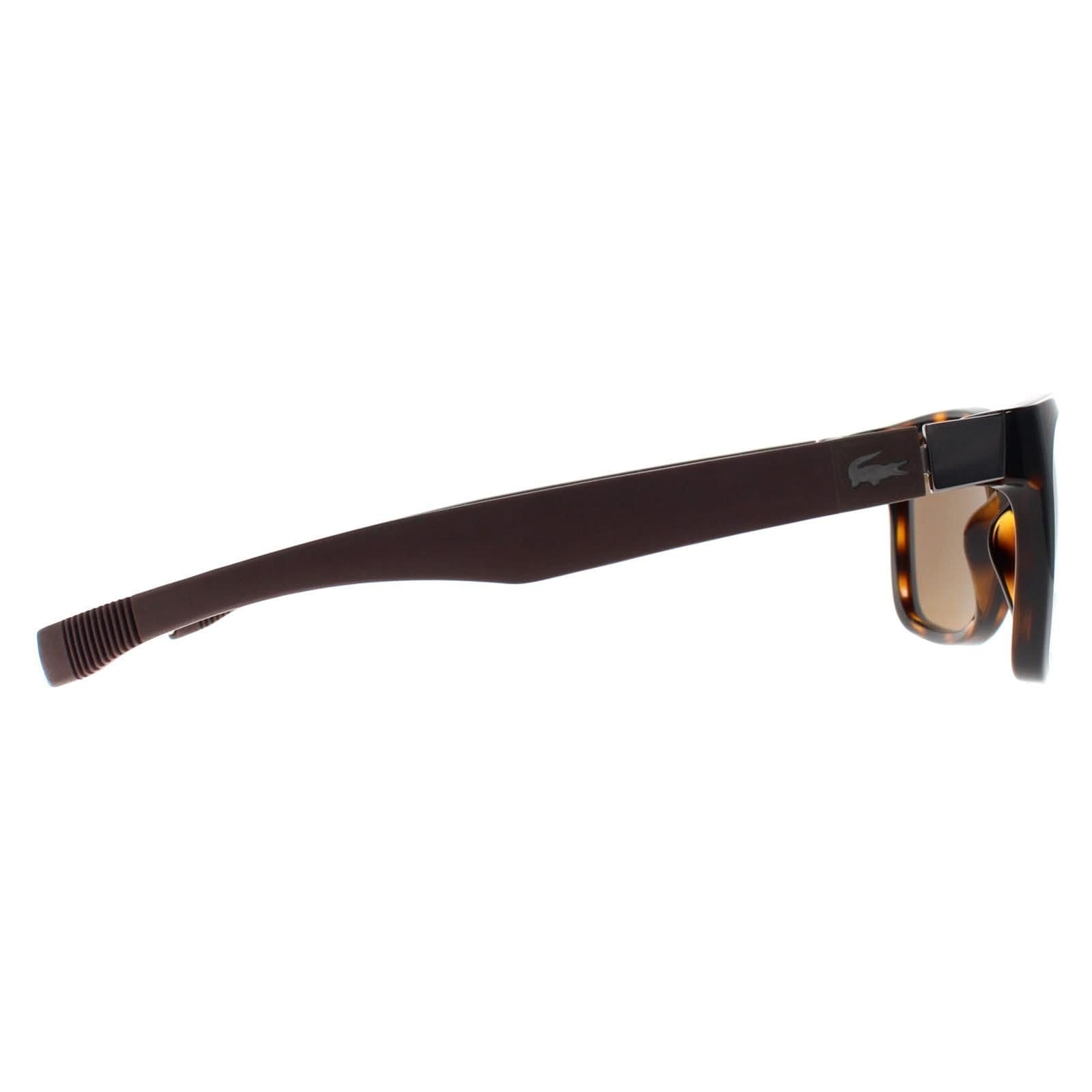 Lacoste Lacoste Men's Square Havana Brown Polarized L662SP - 4
